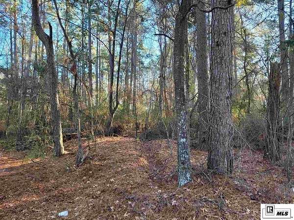 50.6 Acres of Land for Sale in Monroe, Louisiana