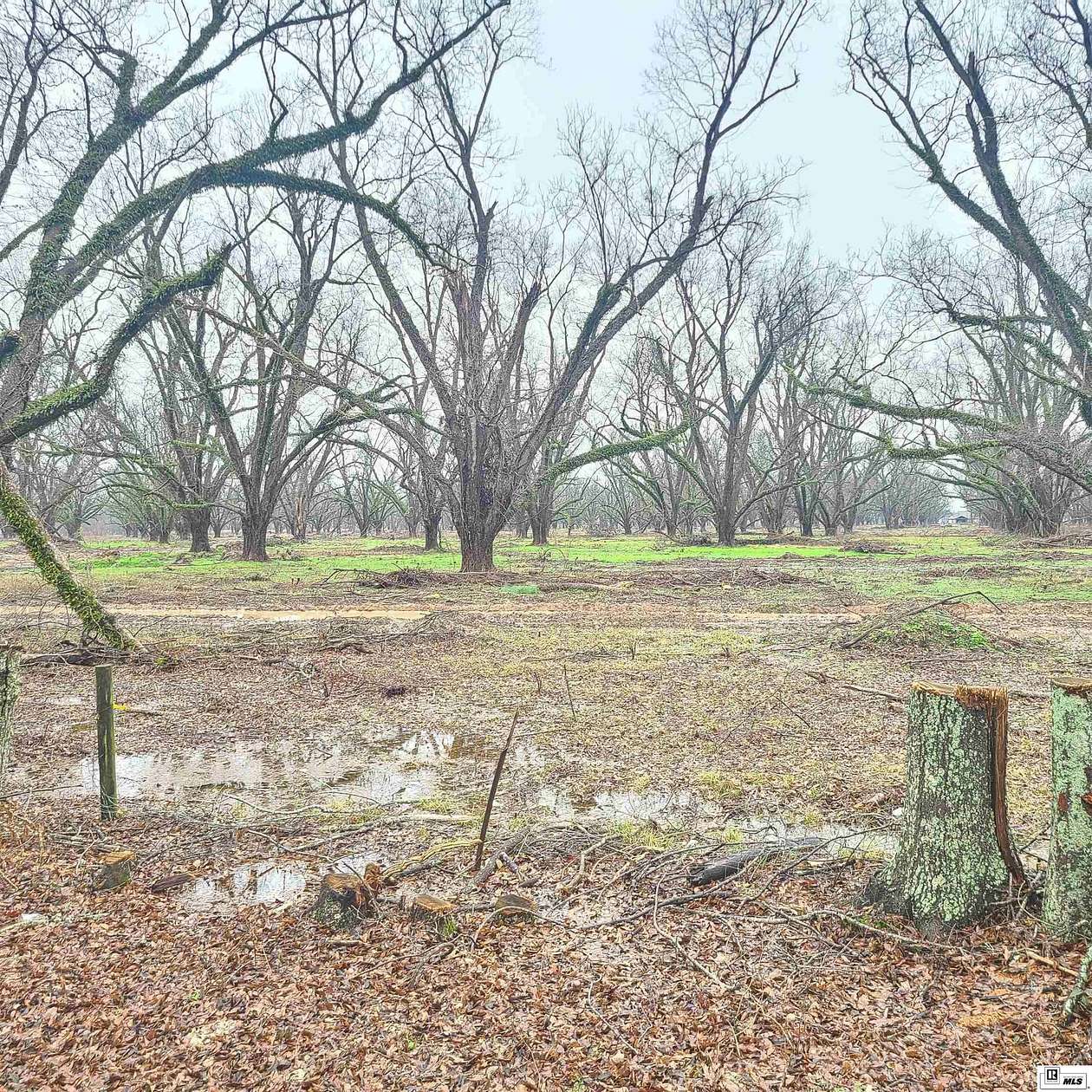 196 Acres of Agricultural & Residential Land for Sale in Monroe, Louisiana