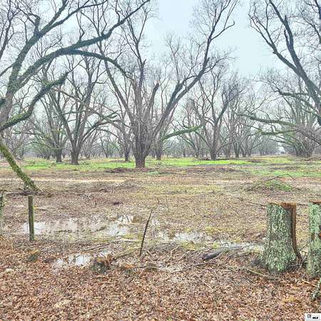 196 Acres of Agricultural & Residential Land for Sale in Monroe, Louisiana
