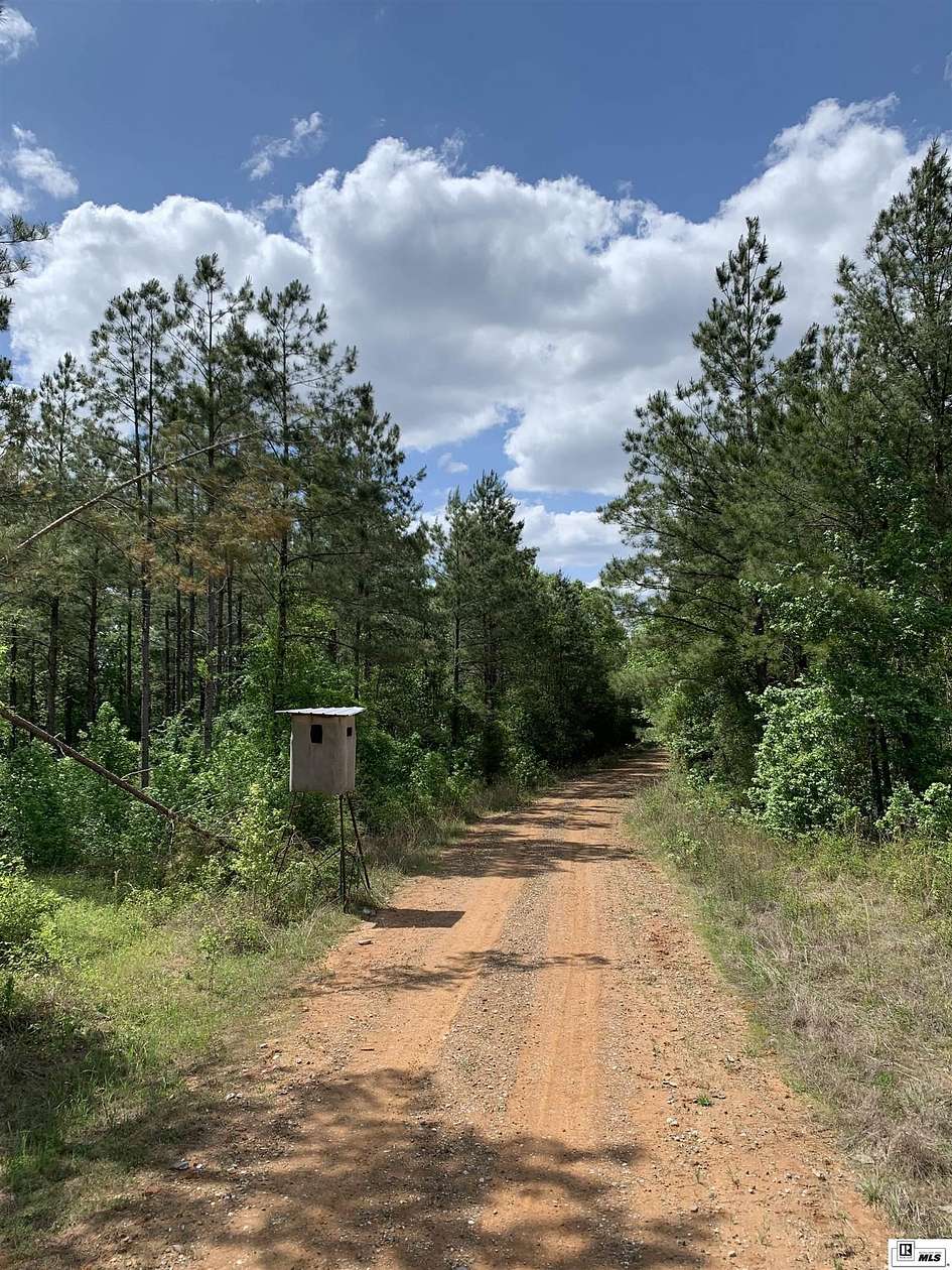 180 Acres of Land for Sale in Dodson, Louisiana