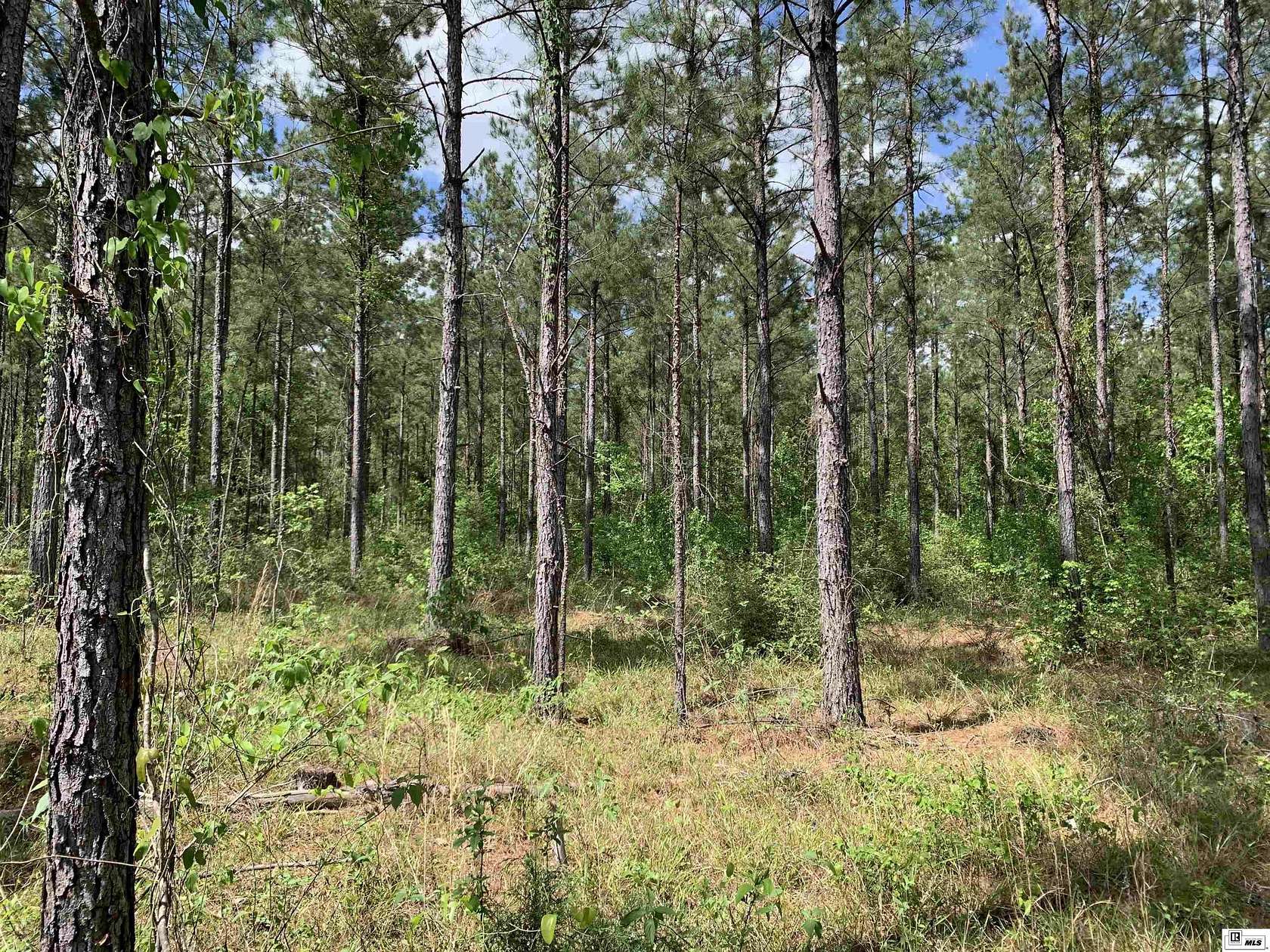 180 Acres of Land for Sale in Dodson, Louisiana