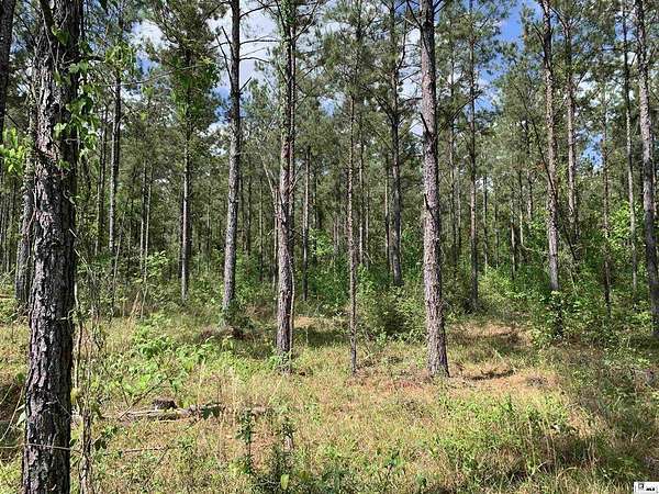 180 Acres of Land for Sale in Dodson, Louisiana