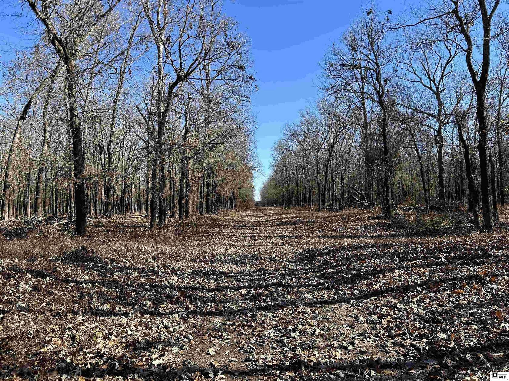 50 Acres of Recreational Land for Sale in Marion, Louisiana