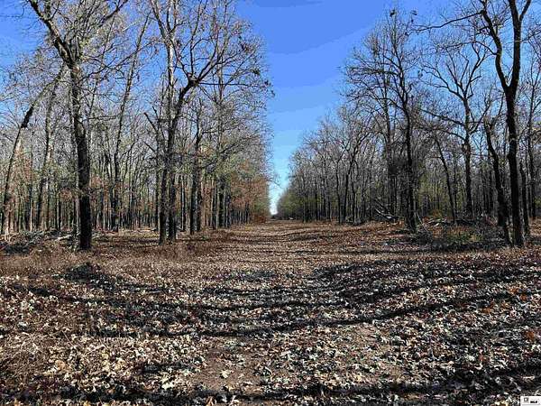 50 Acres of Recreational Land for Sale in Marion, Louisiana