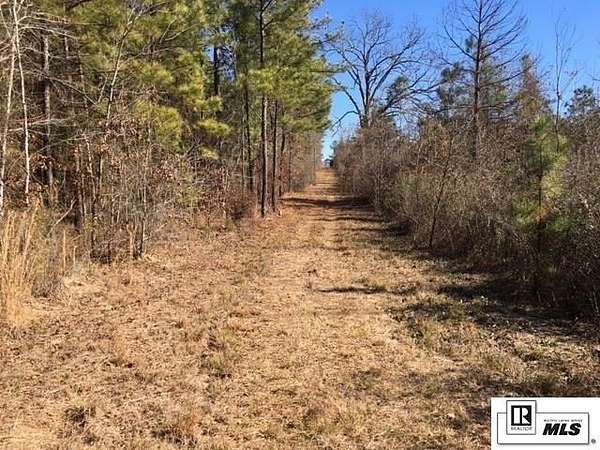 60 Acres of Recreational Land for Sale in Spearsville, Louisiana