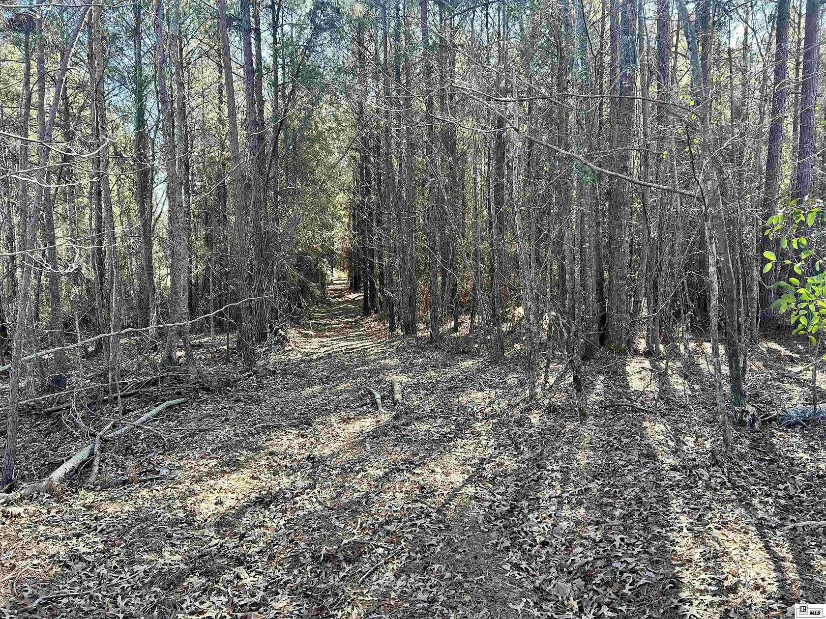 39.7 Acres of Recreational Land for Sale in Farmerville, Louisiana