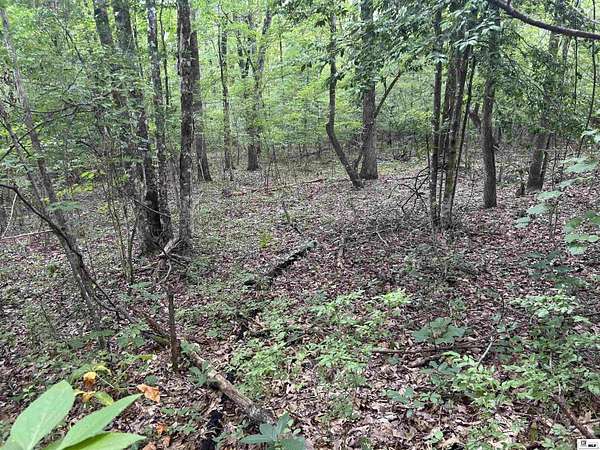 4 Acres of Residential Land for Sale in Calhoun, Louisiana