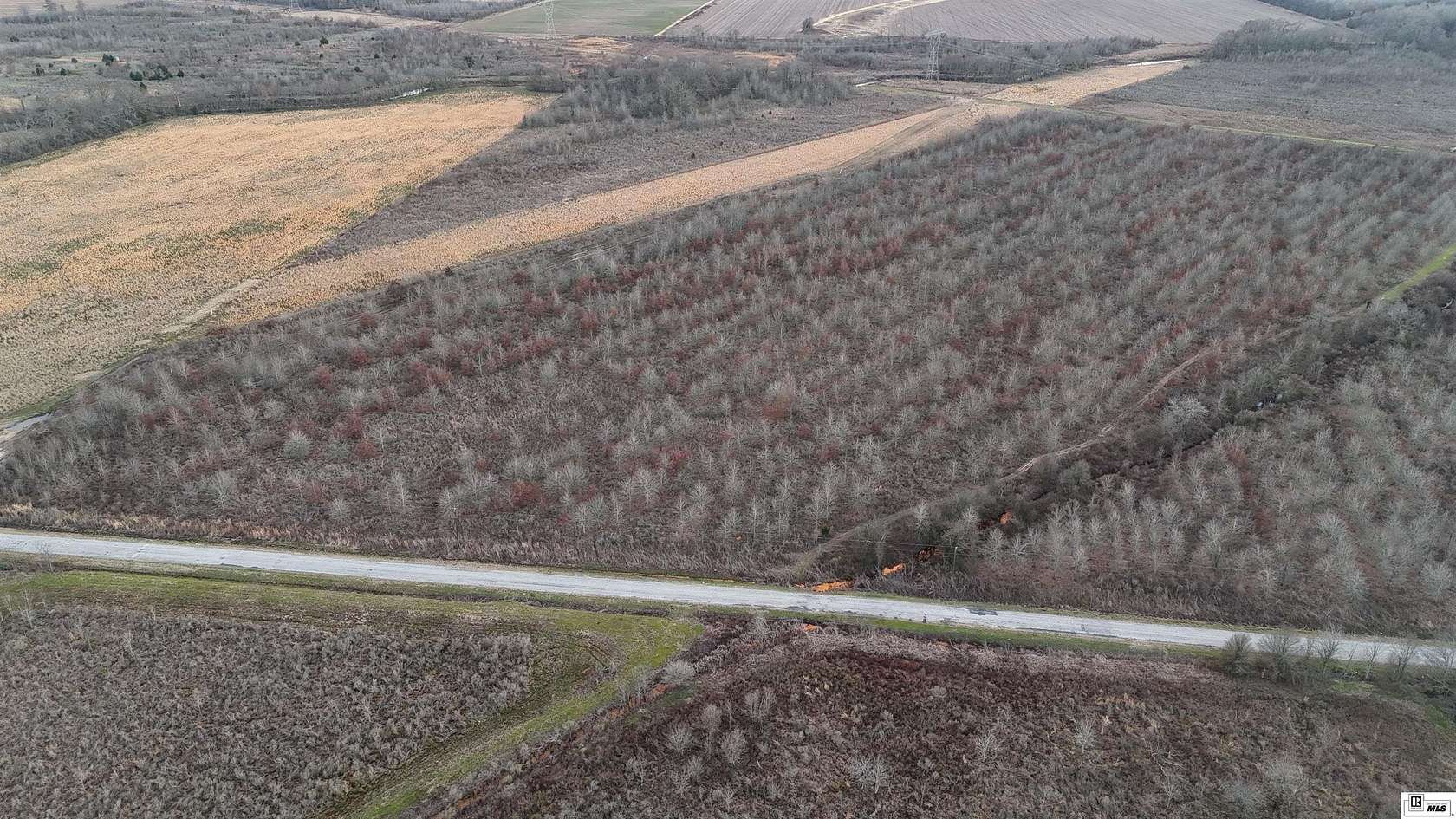 115 Acres of Land for Sale in Rayville, Louisiana