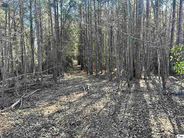 80 Acres of Recreational Land for Sale in Farmerville, Louisiana