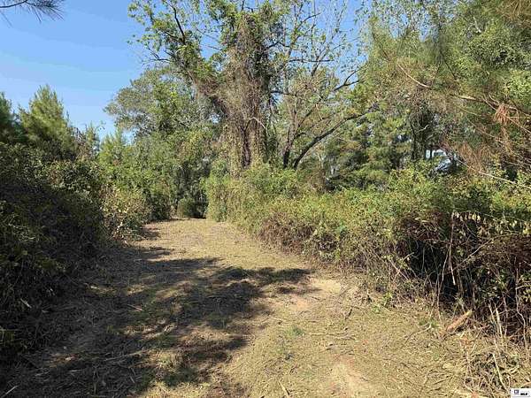 2.2 Acres of Land for Sale in Bernice, Louisiana