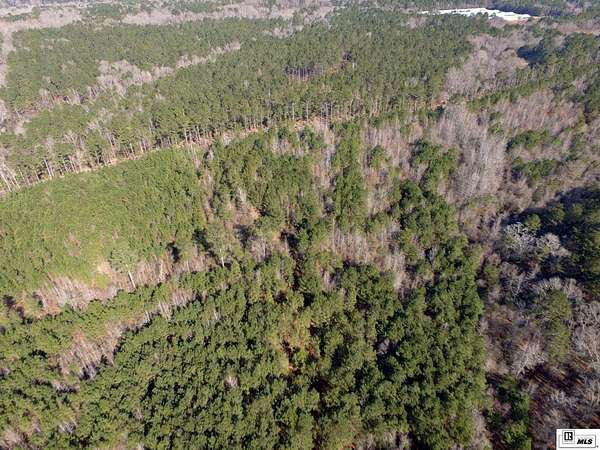 69.7 Acres of Recreational & Residential Land for Sale in Dubach, Louisiana
