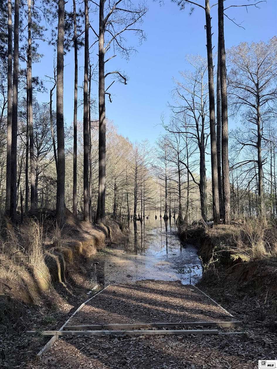Residential Land for Sale in Farmerville, Louisiana