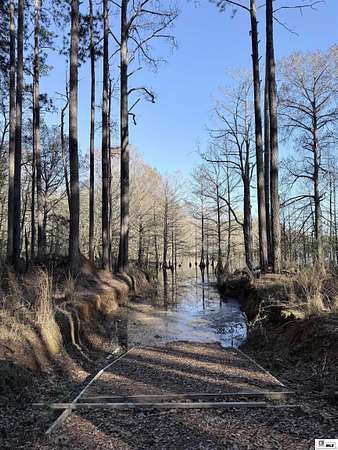 Residential Land for Sale in Farmerville, Louisiana