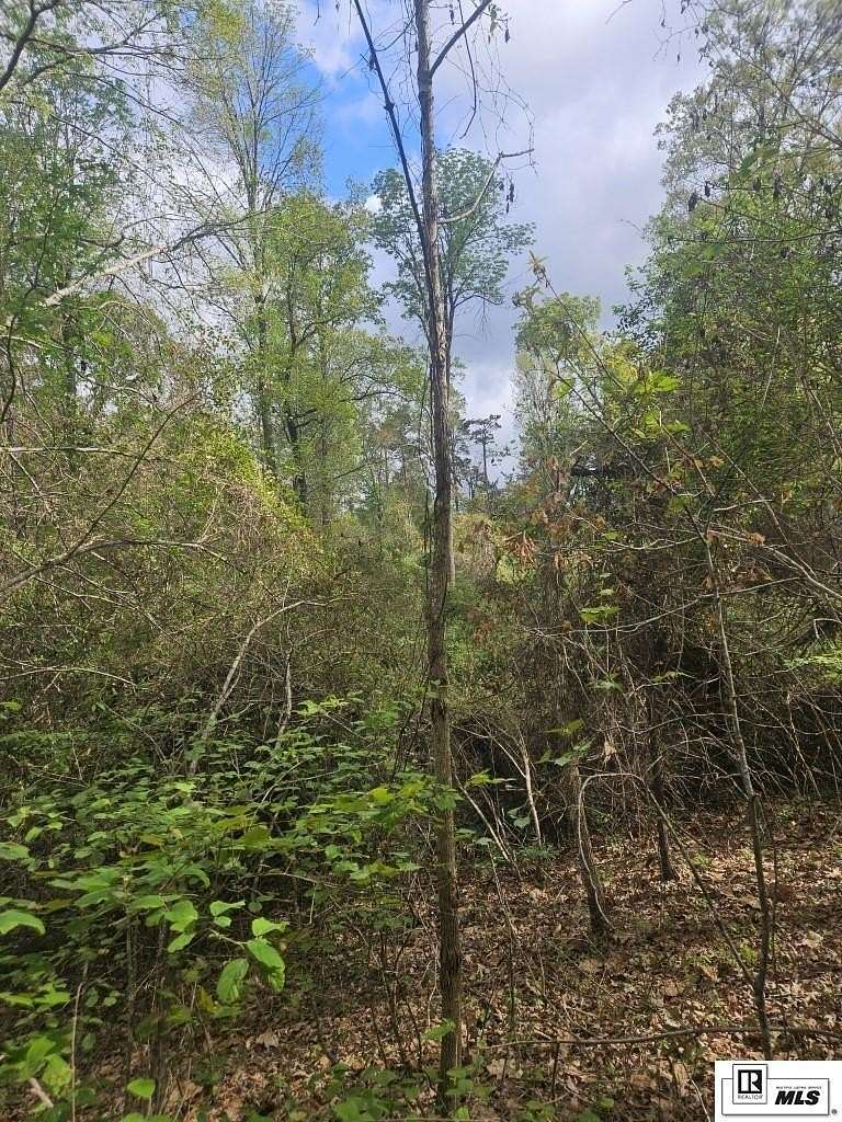 13.2 Acres of Land for Sale in Calhoun, Louisiana
