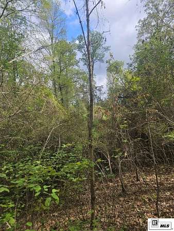 13.2 Acres of Land for Sale in Calhoun, Louisiana
