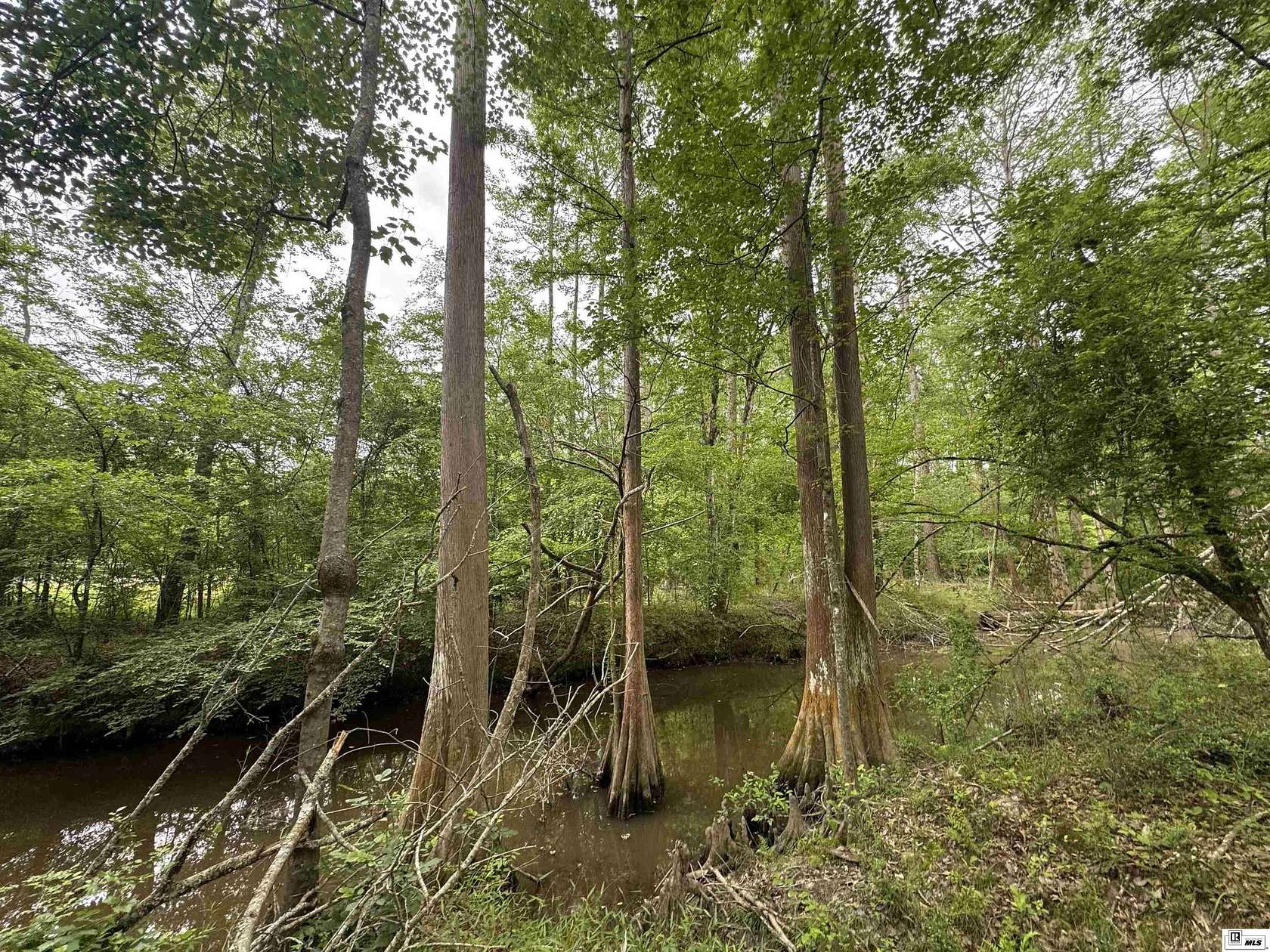 16.7 Acres of Recreational & Residential Land for Sale in West Monroe, Louisiana