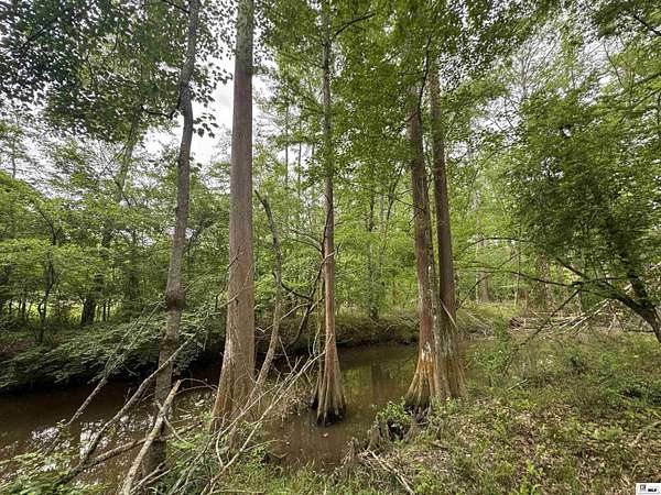 16.7 Acres of Recreational & Residential Land for Sale in West Monroe, Louisiana