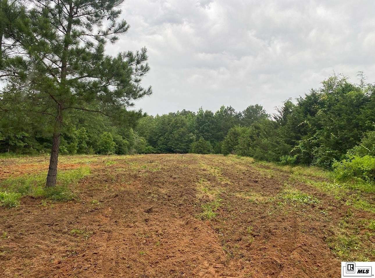 38 Acres of Recreational Land for Sale in Saline, Louisiana