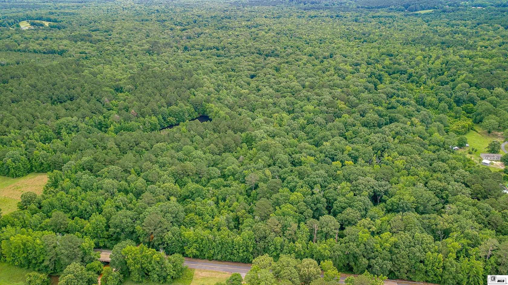 16 Acres of Land for Sale in Downsville, Louisiana