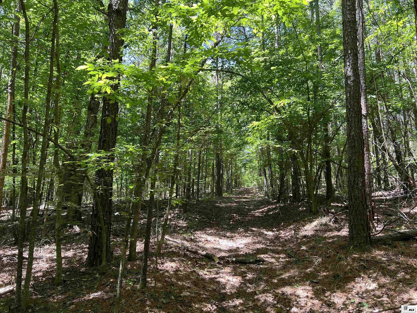 264 Acres of Land for Sale in Bernice, Louisiana