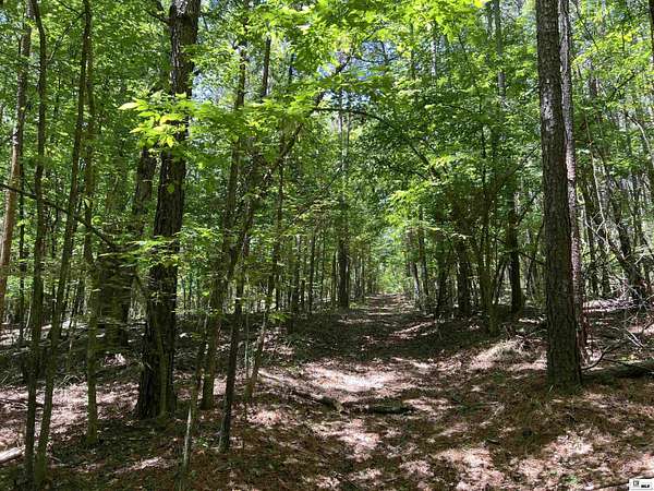 264 Acres of Land for Sale in Bernice, Louisiana