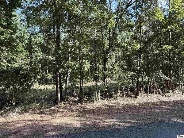 8.57 Acres of Residential Land for Sale in Ruston, Louisiana