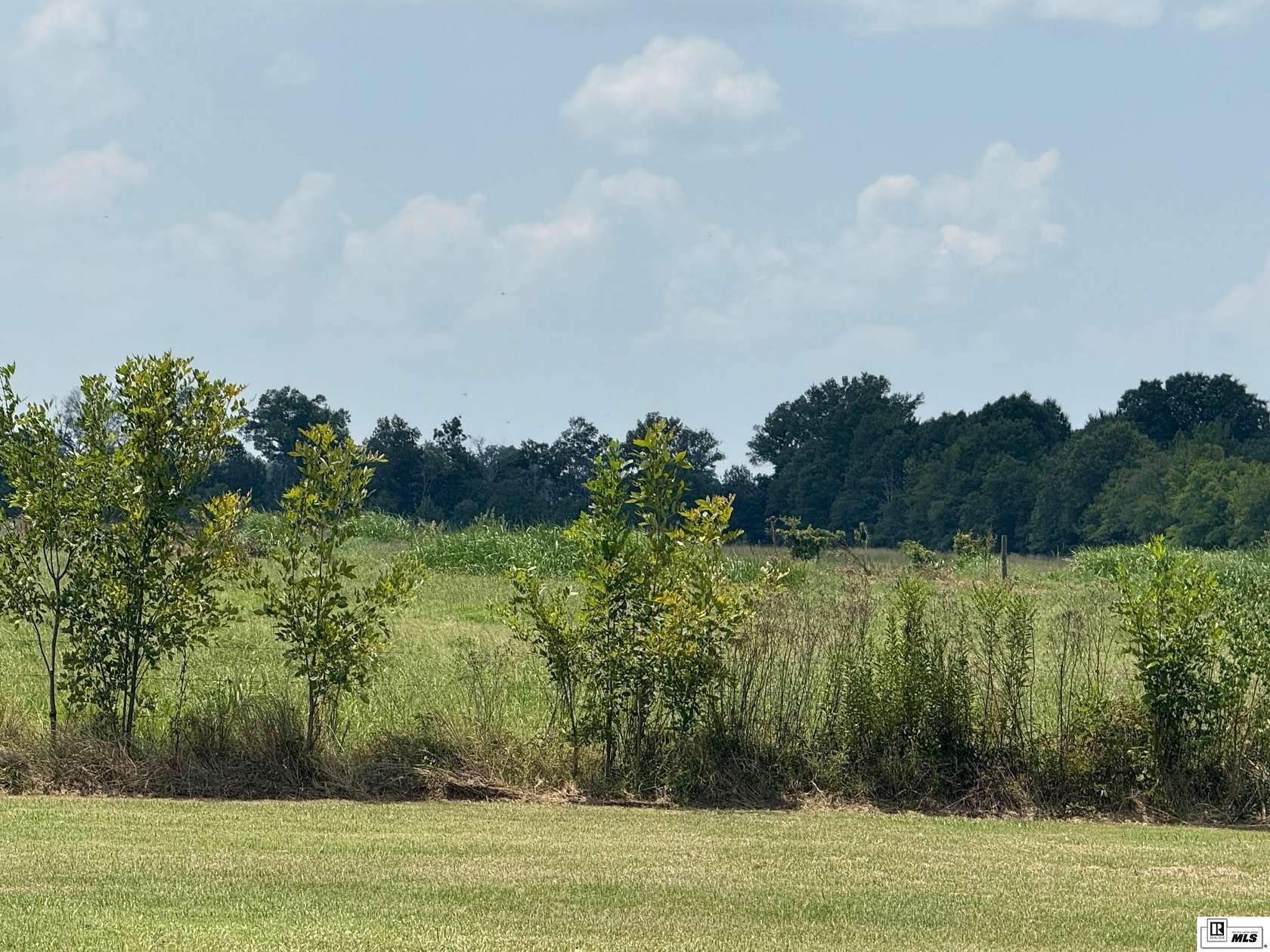 51.8 Acres of Agricultural Land for Sale in Rayville, Louisiana