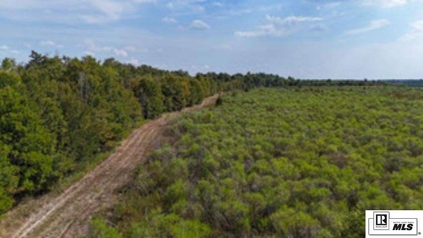 80 Acres of Recreational Land for Sale in Rayville, Louisiana