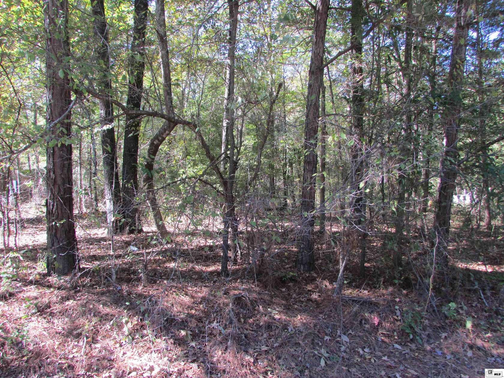 Land for Sale in Bastrop, Louisiana