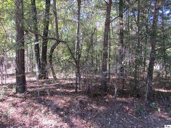 Residential Land for Sale in Bastrop, Louisiana
