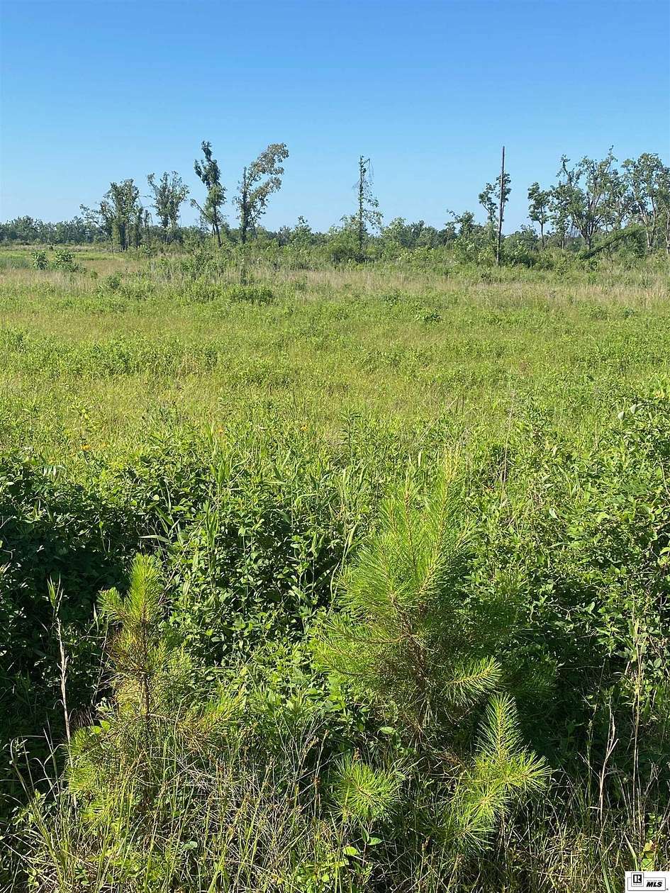 5 Acres of Land for Sale in Delhi, Louisiana