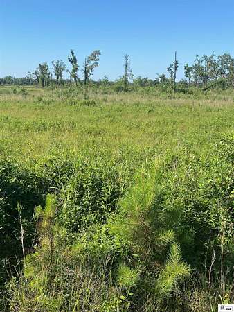5 Acres of Land for Sale in Delhi, Louisiana