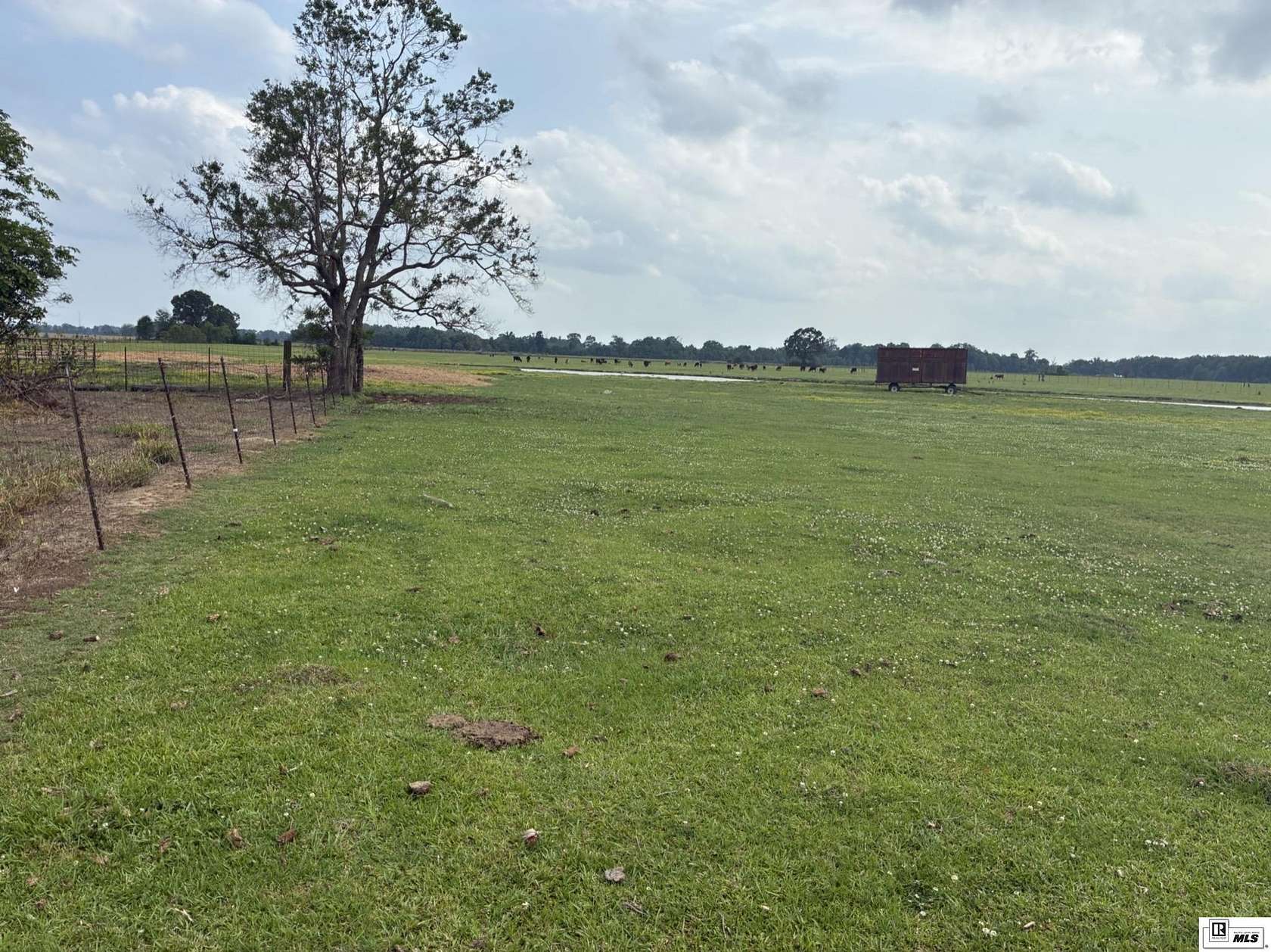 20 Acres of Agricultural & Residential Land for Sale in Winnsboro, Louisiana