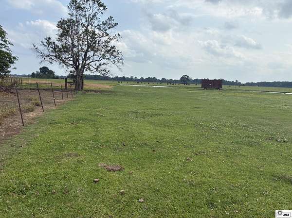 20 Acres of Agricultural & Residential Land for Sale in Winnsboro, Louisiana