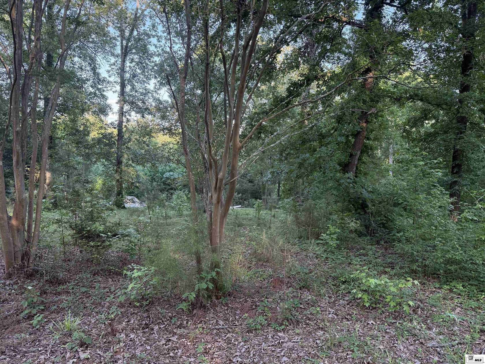 3.3 Acres of Residential Land for Sale in Downsville, Louisiana