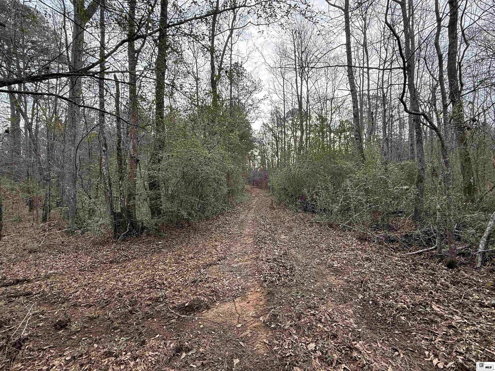 35.2 Acres of Recreational & Residential Land for Sale in Simsboro, Louisiana