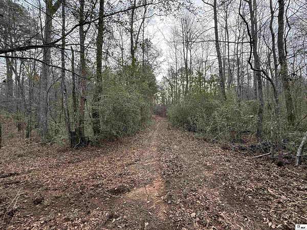 35.2 Acres of Recreational & Residential Land for Sale in Simsboro, Louisiana