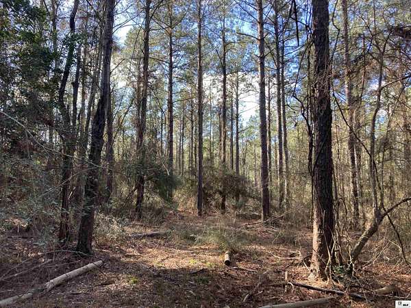 128 Acres of Recreational Land for Sale in Eros, Louisiana