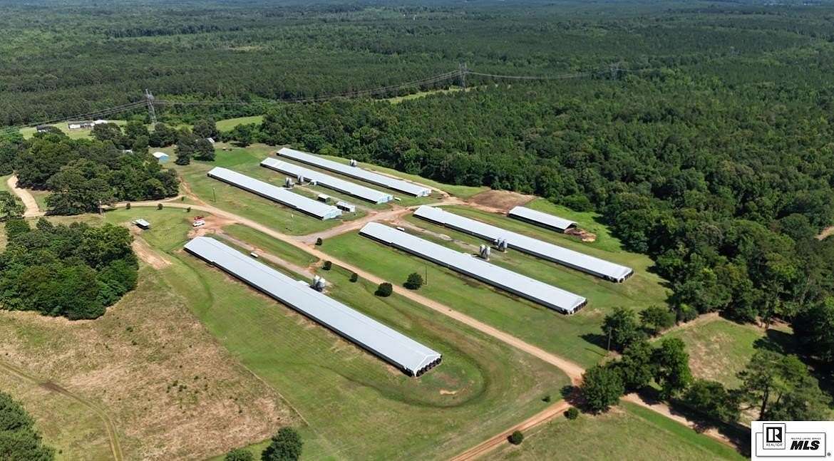 21 Acres of Agricultural & Residential Land for Sale in Dubach, Louisiana