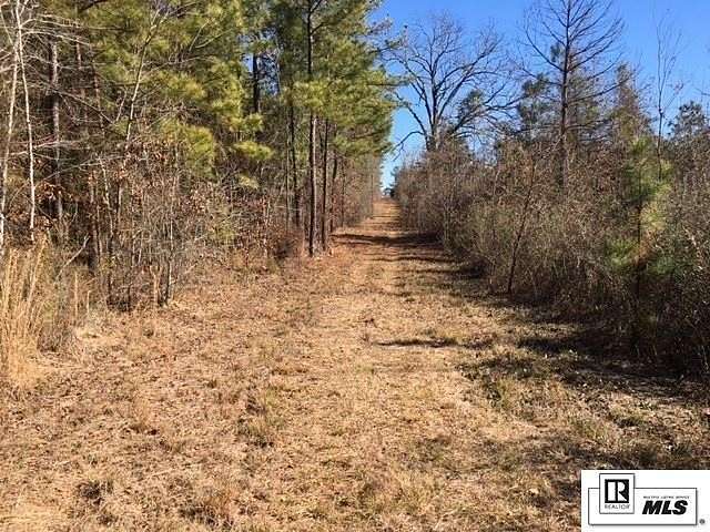 30 Acres of Recreational Land for Sale in Spearsville, Louisiana