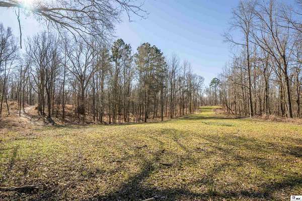 453 Acres of Recreational Land for Sale in Lorman, Mississippi