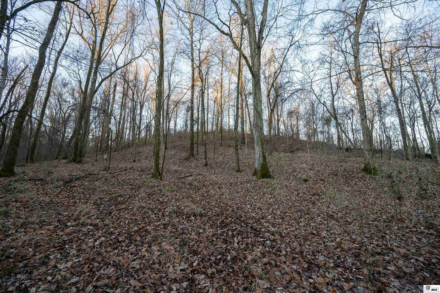 429 Acres of Recreational Land for Sale in Fayette, Mississippi