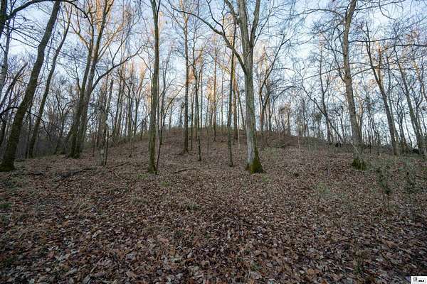 429 Acres of Recreational Land for Sale in Fayette, Mississippi