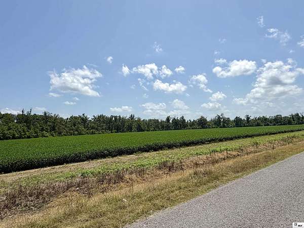 40.1 Acres of Recreational & Residential Land for Sale in Delhi, Louisiana