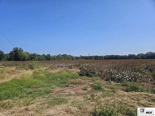 30 Acres of Land for Lease in Rayville, Louisiana