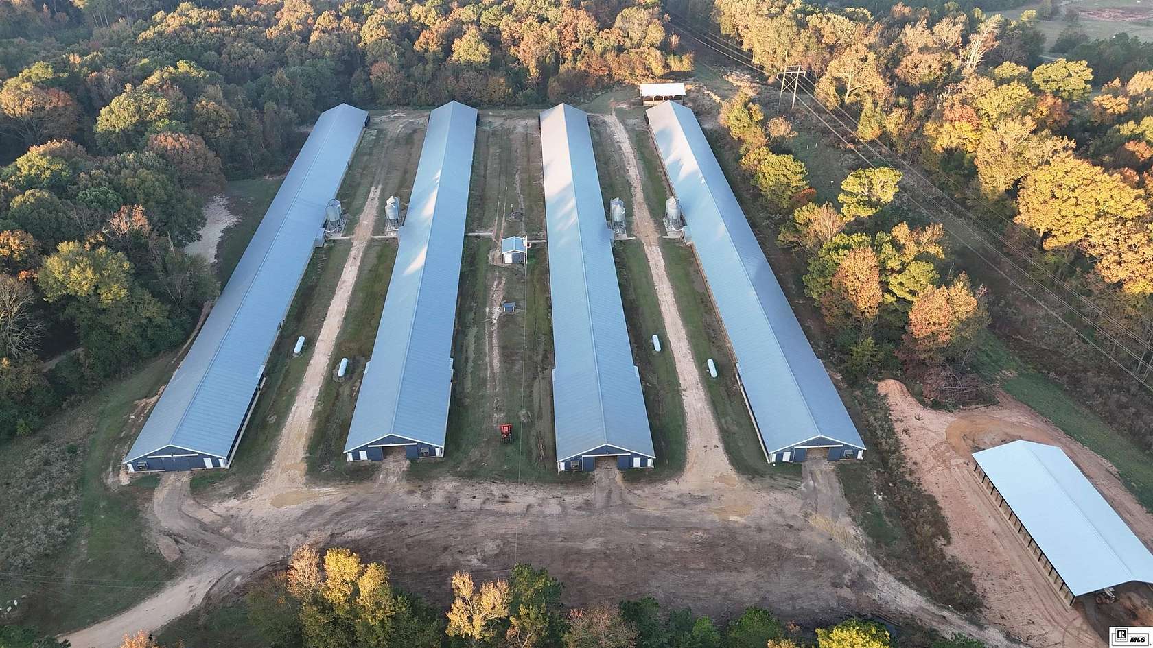 11.8 Acres of Agricultural Land for Sale in Downsville, Louisiana