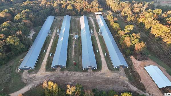 11.8 Acres of Agricultural Land for Sale in Downsville, Louisiana