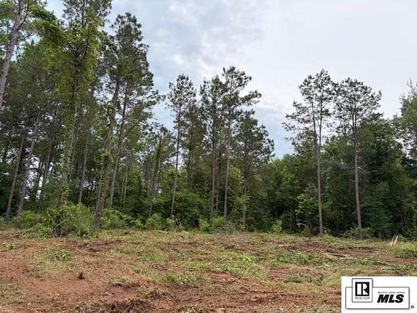 Land for Sale in Farmerville, Louisiana