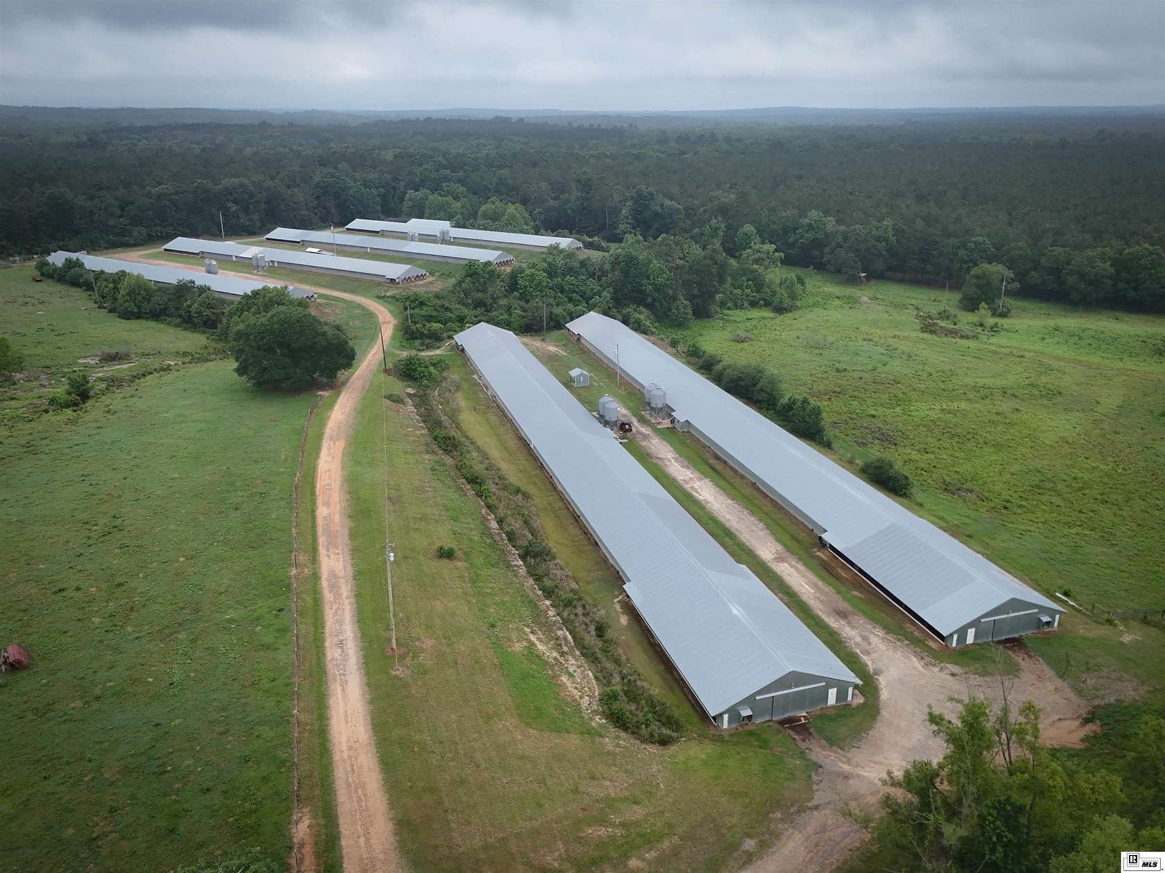 39.1 Acres of Improved Land for Sale in Saline, Louisiana