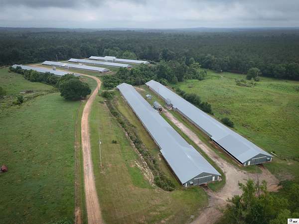 39.1 Acres of Improved Land for Sale in Saline, Louisiana